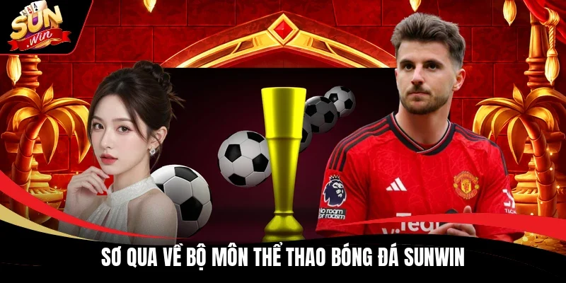 Sơ qua về bộ môn thể thao bóng đá Sunwin