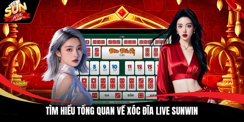 Tìm hiểu tổng quan về Xóc Đĩa Live Sunwin